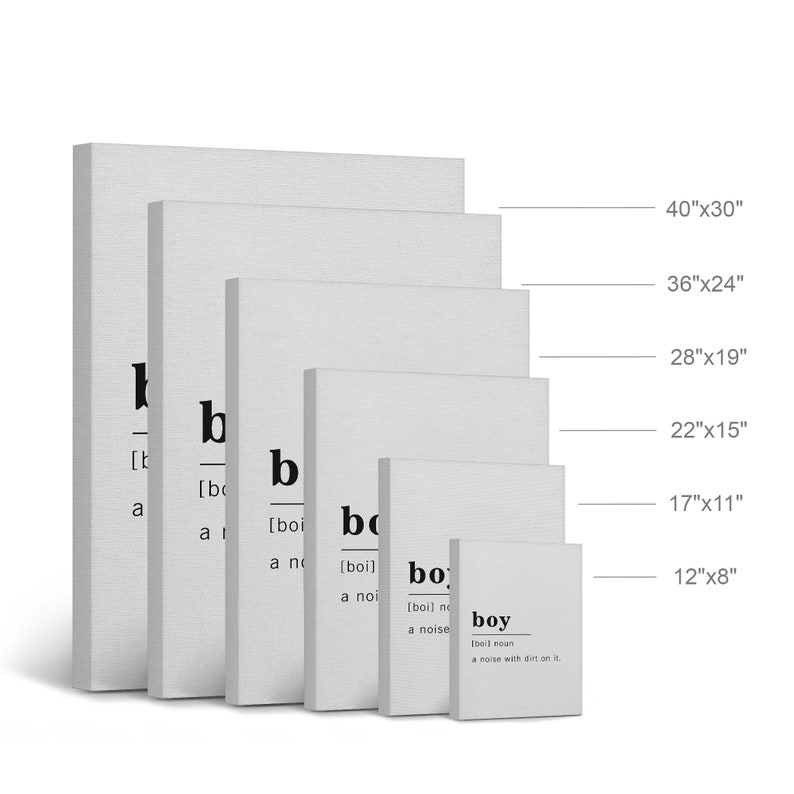 Funny Noun Dictionary Definition of Boy Canvas Print Etsy