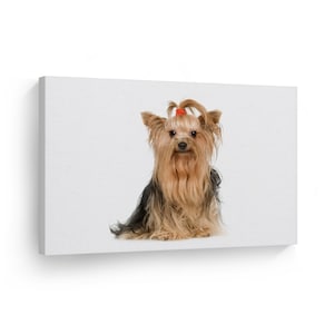 Cute Yorkie Yorkshire Terrier Dog Sitting Animal Canvas Wall Art Print Pet Owner Dog Lover Gift Living Room Kids Baby Nursery Room Decor