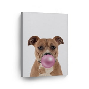 Portrait of Staffordshire Bull Terrier Pink Bubble Gum Canvas Wall Art Print Pet Dog Animal Pop Art Kids Baby Nursery Room Decor