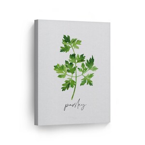 Parsley Minimalist Watercolor Painting Kitchen Canvas Wall Art Print Restaurant Cafe Dining Room Farmhouse Decor Modern Kitchen Decor