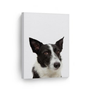 Cute Black and White Mcnab Dog Animal Canvas Wall Art Print Pet Owner Dog Lover Gift Living Room Bedroom Kids Baby Nursery Room Decor