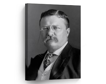 26th President of America Theodore Roosevelt Portrait METAL or CANVAS Wall Art Print American History Office Library Living Room Home Decor