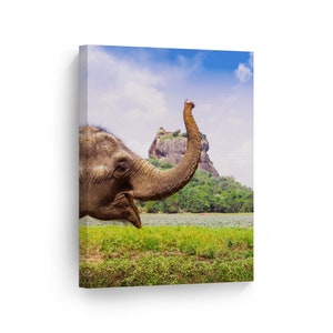 Happy Elephant Wild Animal Canvas Wall Art Print Nature African Safari Exotic Wildlife Living Room Bedroom Kids Baby Nursery Room Decor