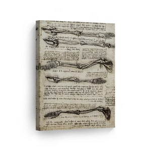 Studies of Arm showing Movement by Leonardo Da Vinci Canvas Wall Art Famous Art Painting Reproduction Classic Art Modern Home Decor