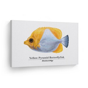 Yellow Pyramid Butterflyfish Hemitaurichthys Fish Painting Marine Animal Canvas Wall Art Print Ocean Sea Fishing Coastal Kids Room Decor