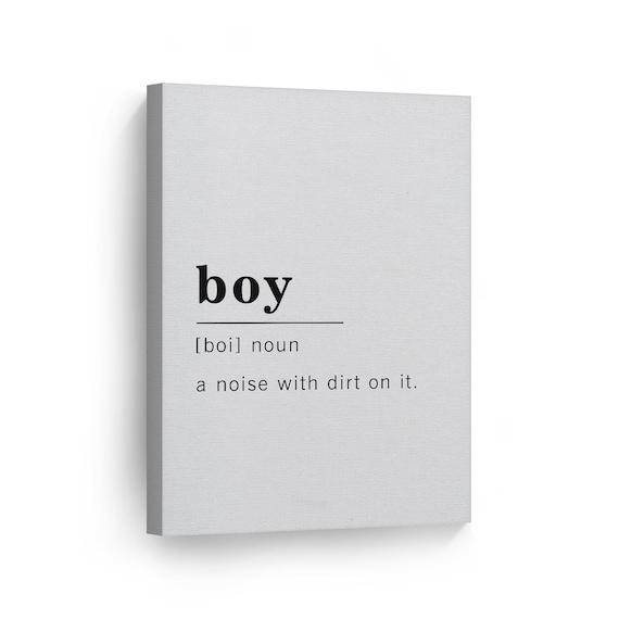 Funny Noun Dictionary Definition of Boy Canvas Print Etsy