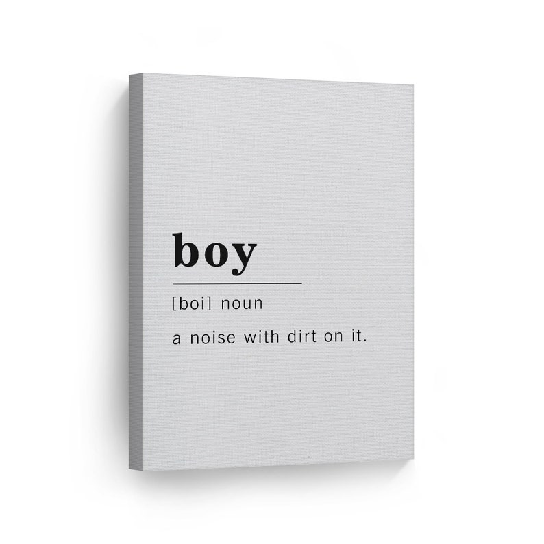 Funny Noun Dictionary Definition of Boy Canvas Print Etsy