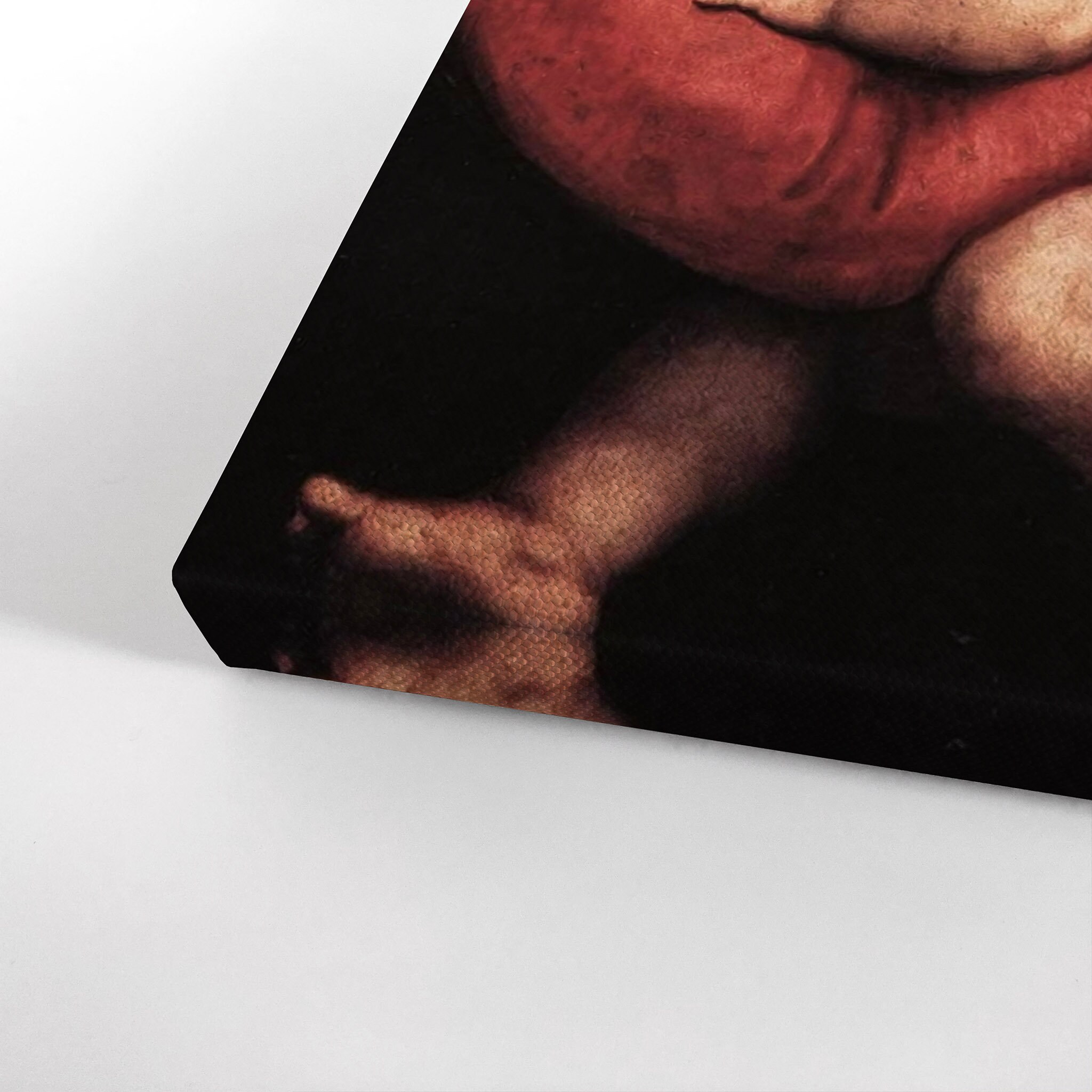 Madonna of the Curtain by Raphael Art Canvas Wall Art Print Famous Fine ...