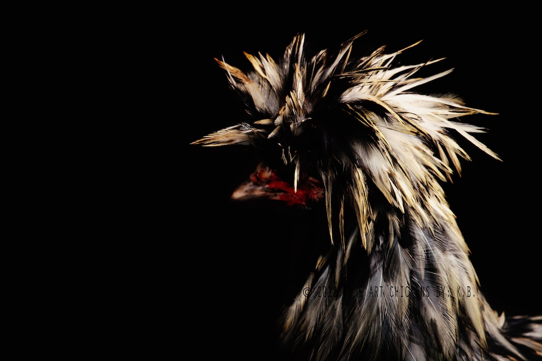 ayam goreng krispi dengan saus sambal dan nasi putih