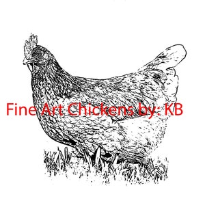 Country Hen design, polli, file PNG, download digitale