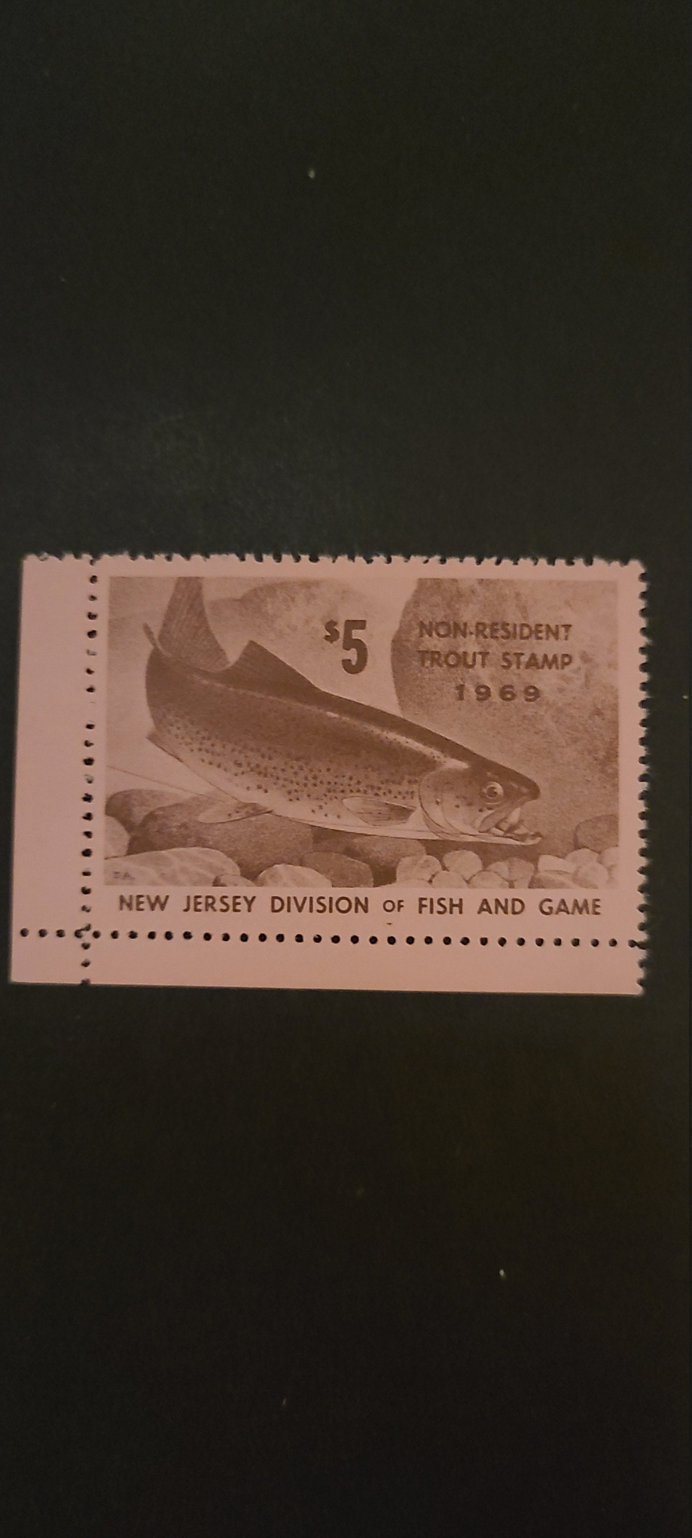 1969 Non-resident 5 dollar trout stamp New Jersey 1969 Non-resident 5 dollar trout stamp New Jersey