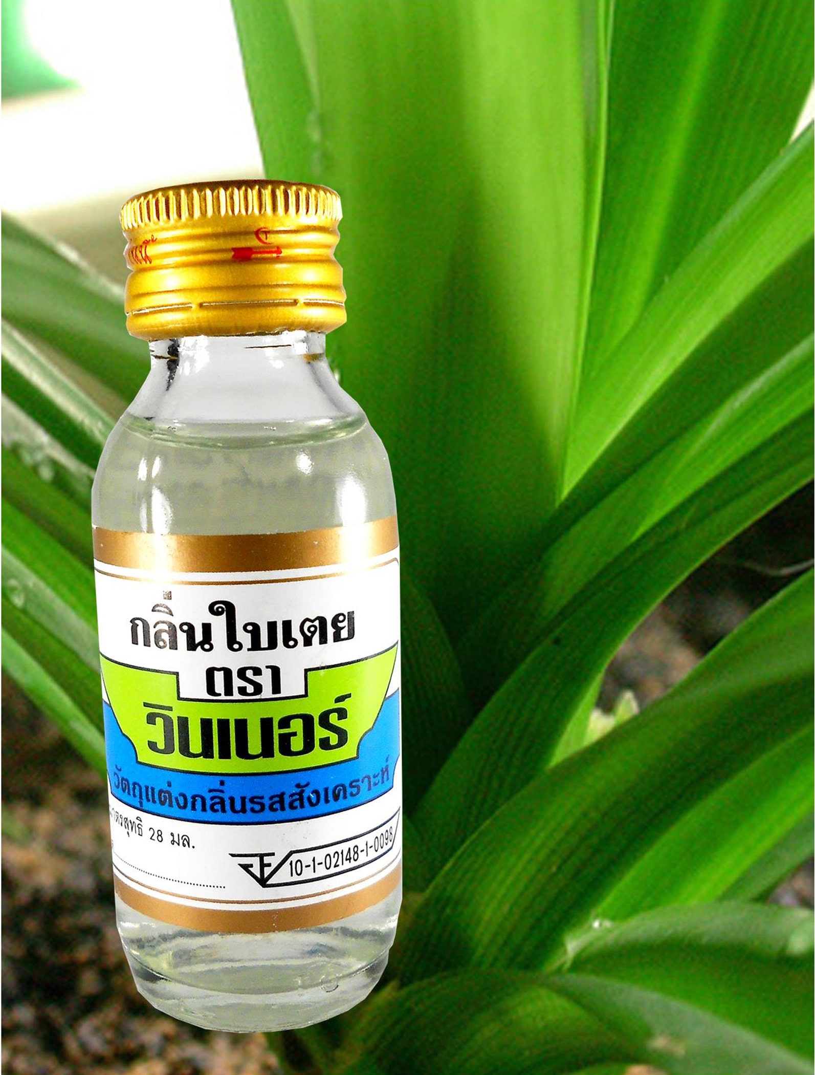 Thai Pandan Flavor Essence Extract 1 Oz. by Winner Etsy