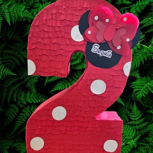 Custom character number pinata (with custom name)