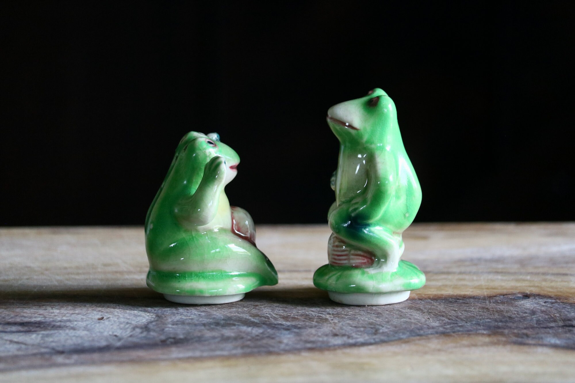 Vintage Frog Salt and Pepper Shakers for Retro Kitchen Decor Etsy