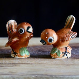 Vintage Baby Bird Salt and Pepper Shakers, Retro Kitchenalia, Cute Brown Birds in playful poses, Hostess Gift, Kitschy Grannycore Kitchen