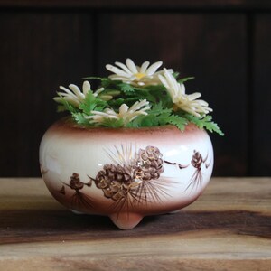 May include: A round ceramic planter with a cream-colored base and a brown gradient rim. The exterior features a painted design of brown pinecones and pine needles. The planter sits on three small feet and contains white daisy-like flowers.