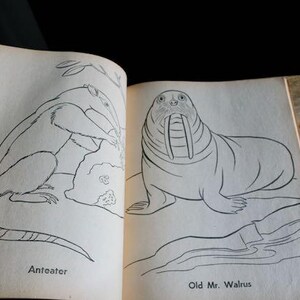 May include: Open book with two animal illustrations. The left page shows an anteater, and the right page features a walrus labeled "Old Mr. Walrus." The drawings are in black ink on aged, cream-colored paper.
