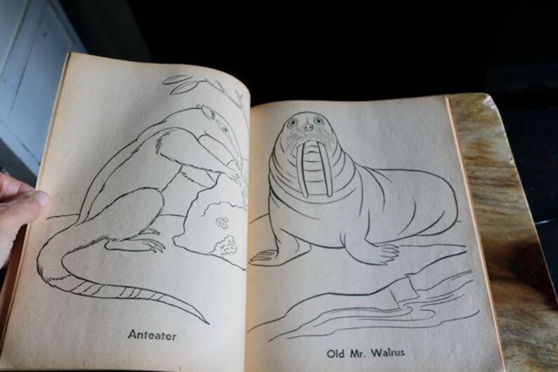 May include: Open book with two animal illustrations. The left page shows an anteater, and the right page features a walrus labeled "Old Mr. Walrus." The drawings are in black ink on aged, cream-colored paper.