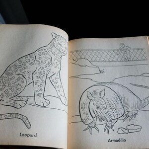 May include: Open book with illustrations of a leopard and an armadillo. The leopard is labeled below the image. The armadillo is on the facing page, with a bridge and a person in the background. The book's pages are yellowed.