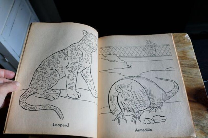 May include: Open book with illustrations of a leopard and an armadillo. The leopard is labeled below the image. The armadillo is on the facing page, with a bridge and a person in the background. The book's pages are yellowed.