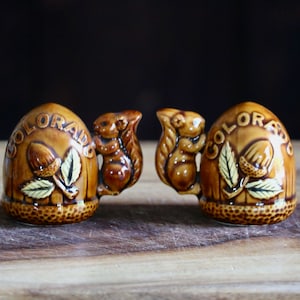Vintage Acorn Salt and Pepper Shakers w/ Squirrel Handles, Kitschy Kitchen Decor, Colorado Souvenir, Gift for Collector, Fall Tableware