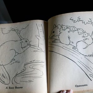 Vintage Whitman Lets Visit the Zoo Coloring Book, 1958 Kitschy Color Book with drawings of Animals & People, Collector Gift, Grannycore, NOS image 11