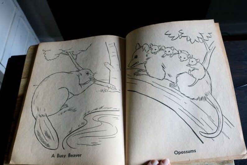 Vintage Whitman Lets Visit the Zoo Coloring Book, 1958 Kitschy Color Book with drawings of Animals & People, Collector Gift, Grannycore, NOS image 11