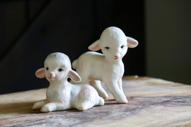 lefton sheep