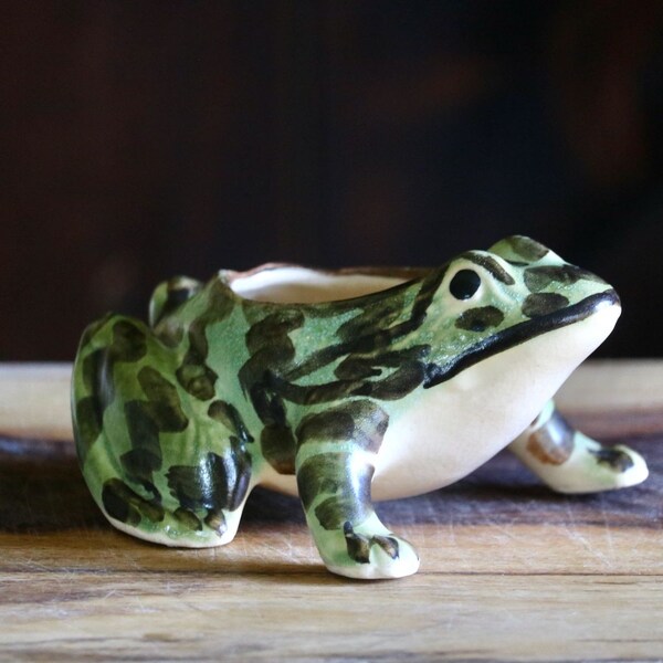 Vintage McCoy Frog Planter, Cute Spring Decor, Small Brush McCoy Toad Plant Holder, Succulent Plant Pot, Gift for Hostess, Grannycore Kitsch
