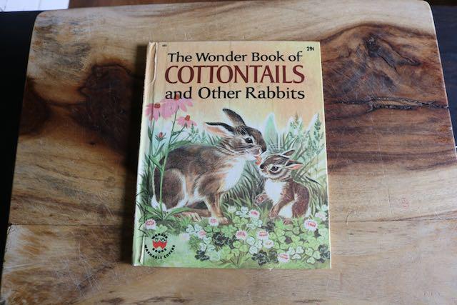 Vintage Cottontails and Other Rabbits Book, Animal Storybook for Children, A 1965 Hardcover Wonder Book about Bunnies, Gift for Collector