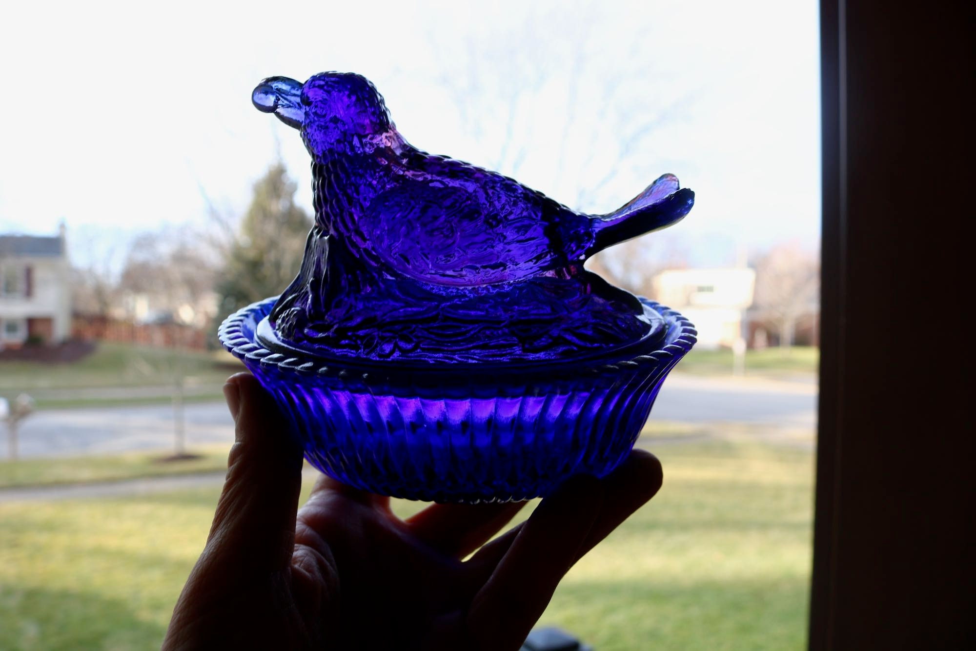 Glass Robin on Nest - Etsy