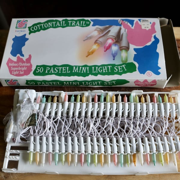 Vintage Pastel Mini Light Set, Cute Easter and Spring Decor, 50 Tiny Indoor Outdoor Lights, Superbright Light Set on White Cord, Host Gift