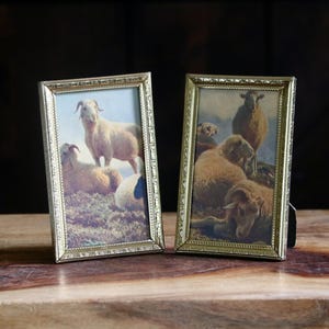 May include: Two rectangular picture frames with metallic gold-toned borders featuring an embossed pattern. Each frame contains a print depicting a group of sheep in a pastoral landscape with soft, natural colors and detailed textures of the wool.