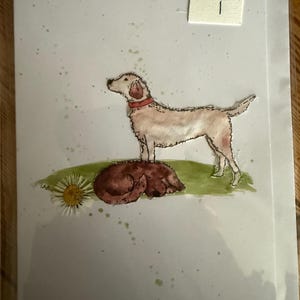 Biglietti d'auguri con cane e margherita. Seleziona il numero del biglietto.
