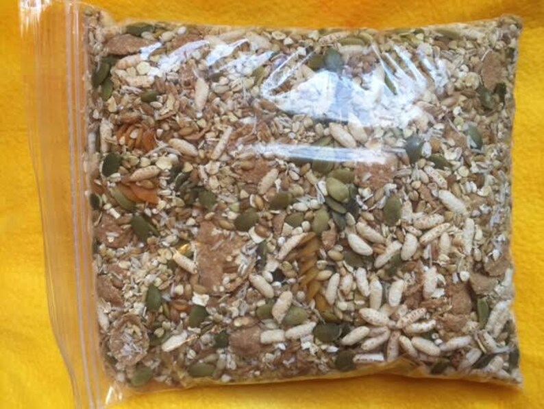 RatGirl44's Seed and Grain Supplement Mix Pet Rat Food Etsy