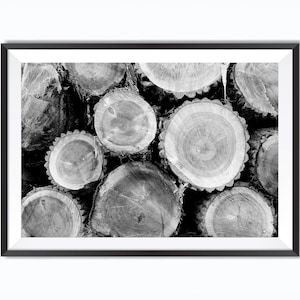 Fotografia di tronchi di legno in bianco e nero - fotografia stampabile - grafica JPG stampabile