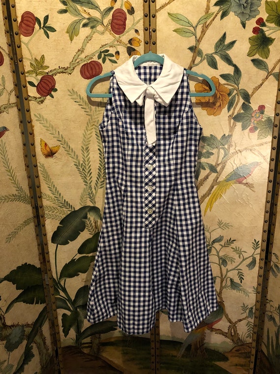 1960s Picnic Perfect Blue Gingham Dress