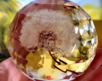 May include: A clear glass sphere with a faceted design, containing a preserved dandelion with white fluffy seeds.