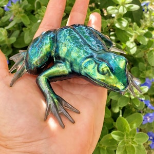 Frog urn necklace hotsell