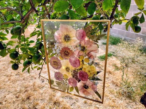 8 Pack Gold 5x7 Floating Glass Picture Frames for Tabletop, Pressed  Flowers, Home Decor