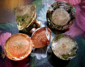Resin Dandelion Flower Cabinet Knob: Diamond Shaped Drawer Pull