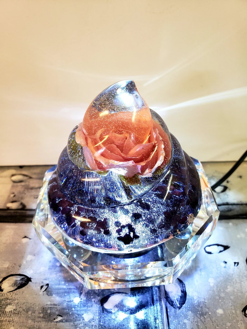Resin Preserved Flowers in Resin Keepsake Lamp. Rose Etsy