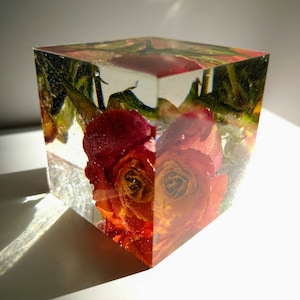 Red Orange Flowers Rose  in cube keepsake paperweight NATURAL GIFT. Rose Paperweights. Home Office Deck Decor.Gift.Glass like.Crystals