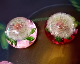 May include: Two clear resin spheres with a dandelion and green leaves inside. One sphere has a pink base and the other has a red base.