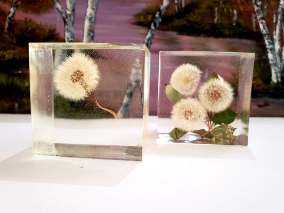 Preserving Dandelion In Large Resin Cube Paperweight Keepsake Etsy Preserving Dandelion In Large Resin Cube Paperweight Keepsake Etsy