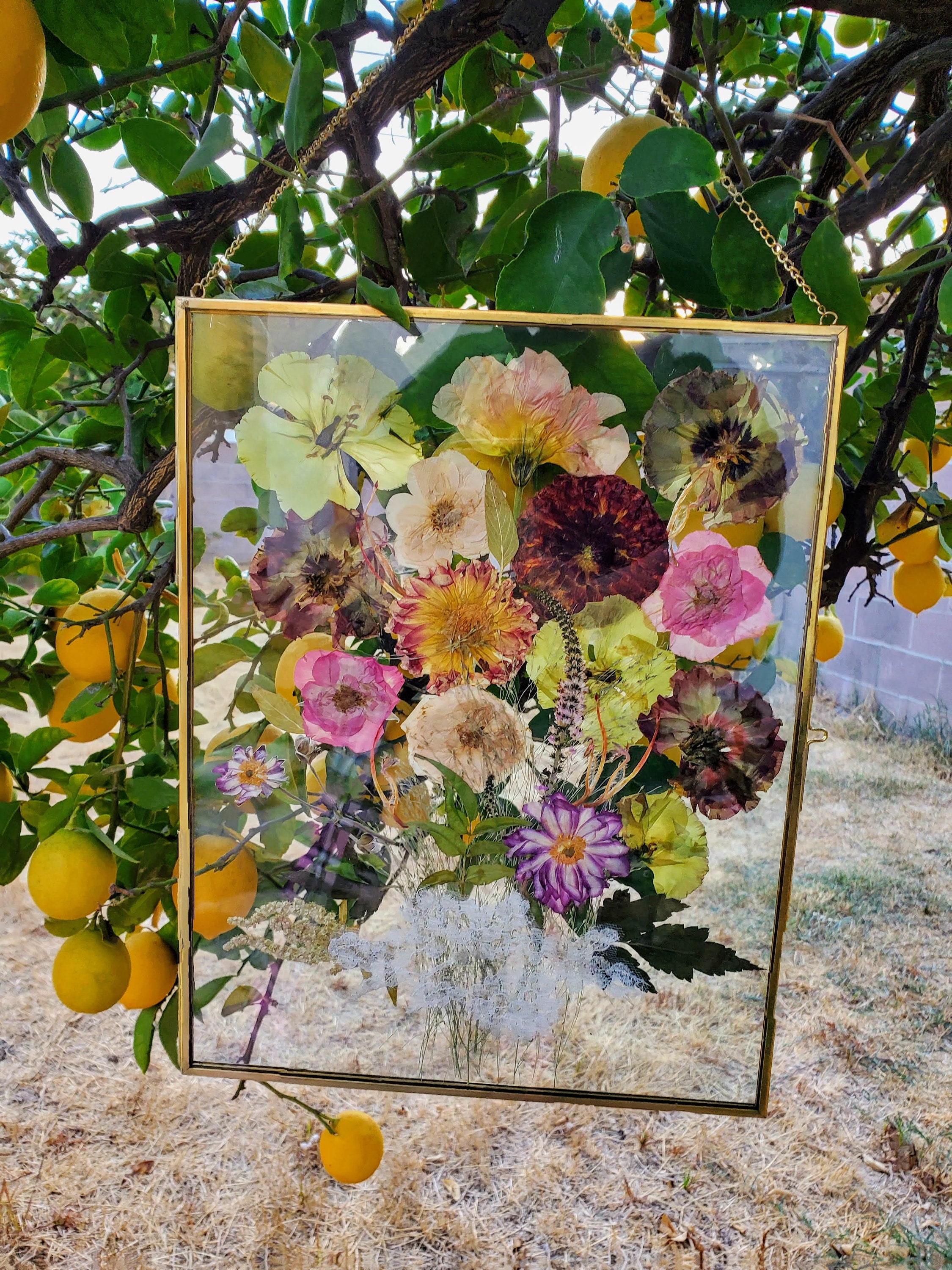 Preserved Pressed Wedding Flowers in Glass Frame Keepsake Etsy
