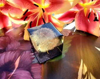 May include: A clear cube with a dried dandelion inside. The cube is sitting on a brown surface with a pink and yellow flower in the background.