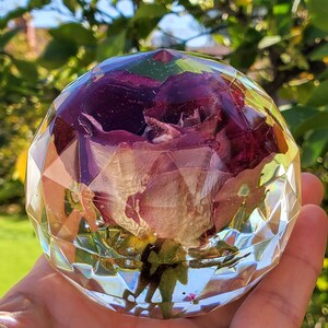 May include: A single, dried rose encased in a clear, faceted glass sphere. The rose is a deep purple color and has a delicate, dried texture.