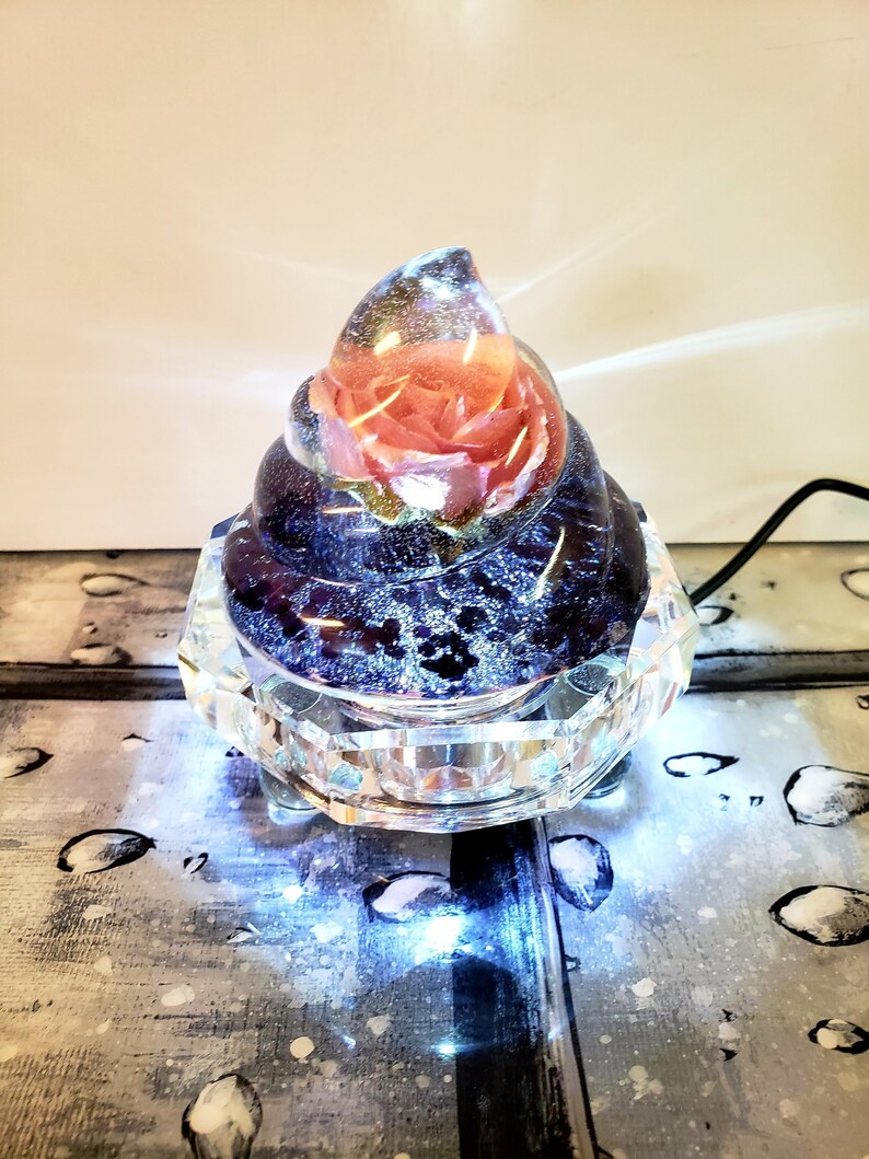 Resin Preserved Flowers in Resin Keepsake Lamp. Rose Etsy