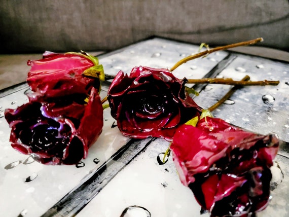 Preservación de flores funerarias. El amor nunca muere. - Etsy España Preservación de flores funerarias. El amor nunca muere. - Etsy España